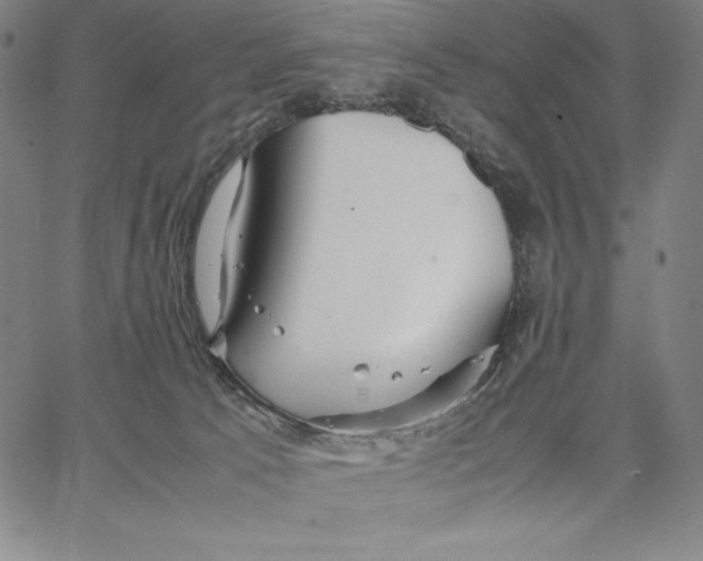 X0000066520033200604071603