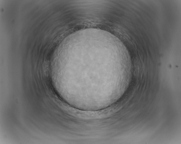 X0000066520034200604071603