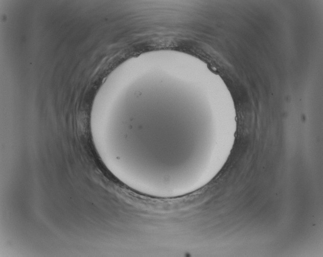 X0000066520035200604071603