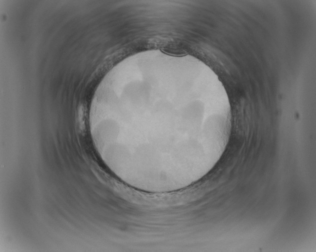 X0000066520038200604071603