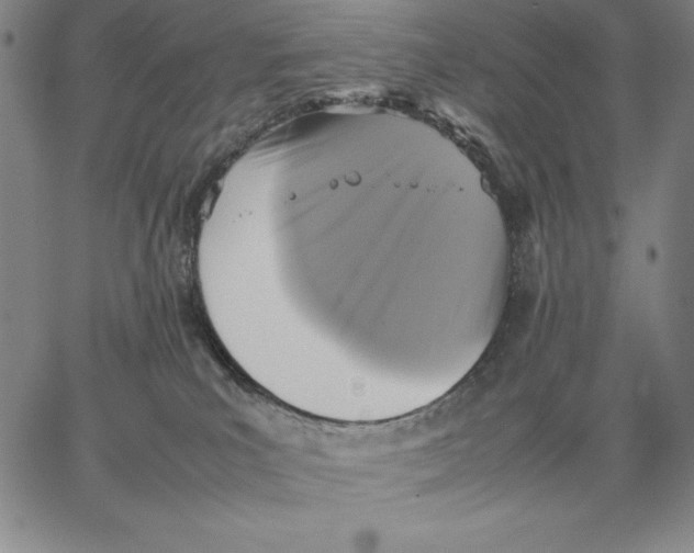 X0000066520039200604071603