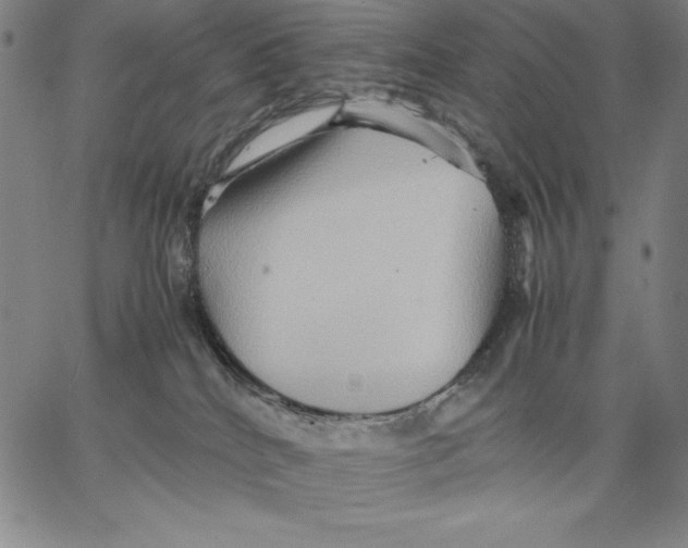 X0000066520040200604071603