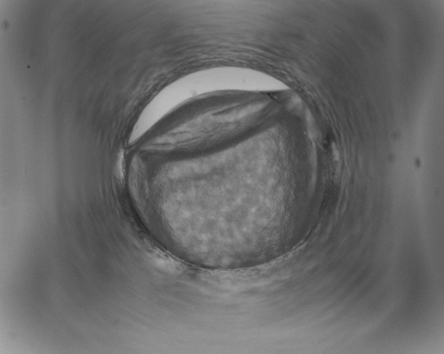 X0000066520041200604071603