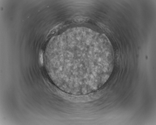 X0000066520042200604071603