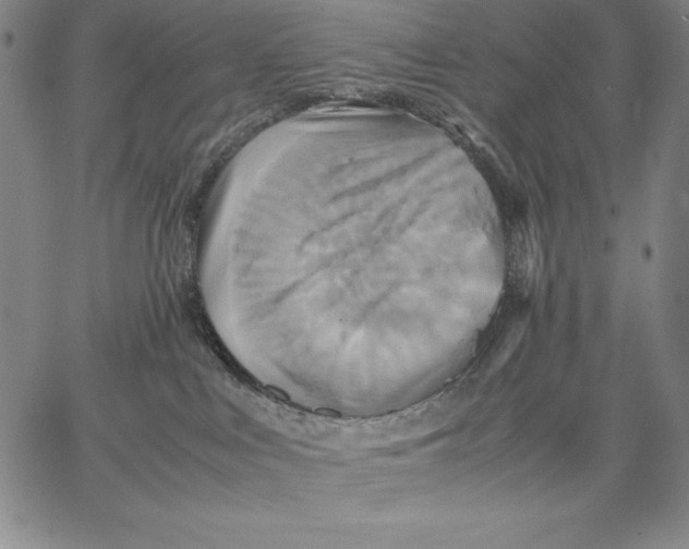 X0000066520043200604071603