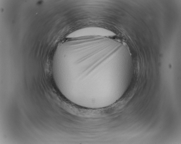 X0000066520044200604071603