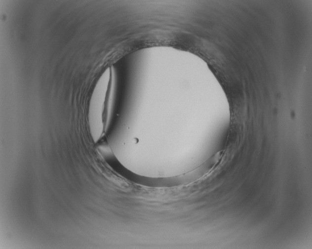 X0000066520045200604071603