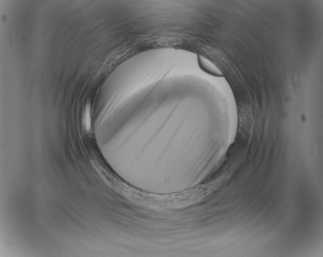 X0000066520046200604071603