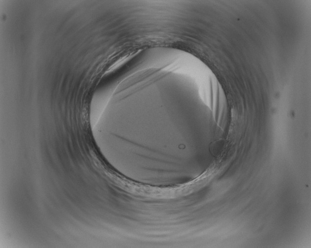 X0000066520048200604071603