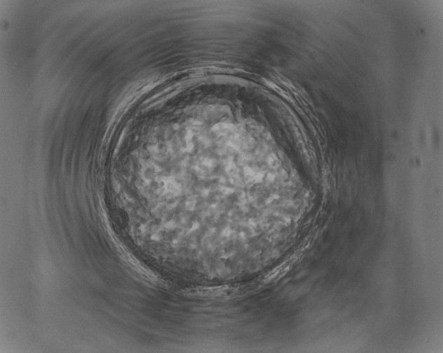 X0000066520049200604071602