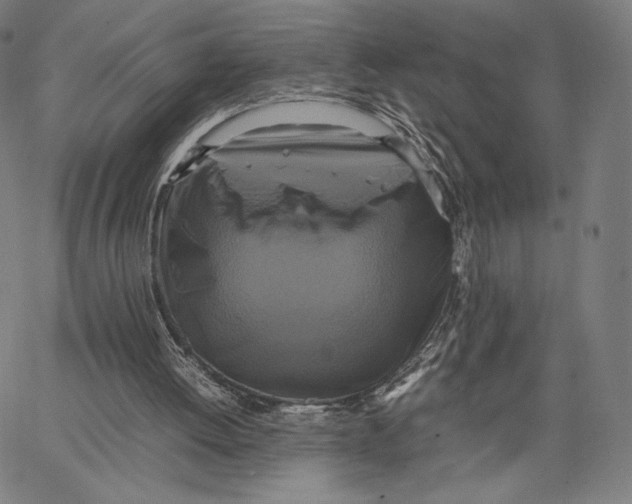 X0000066520052200604071602