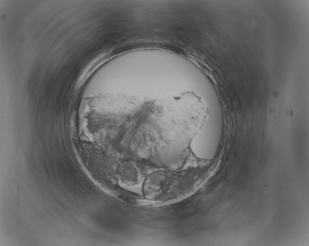 X0000066520053200604071602