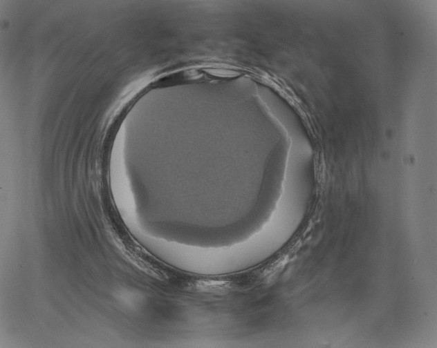 X0000066520055200604071602