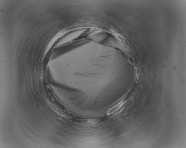 X0000066520056200604071602