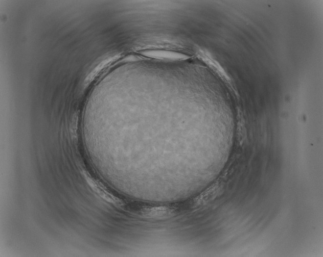 X0000066520058200604071602