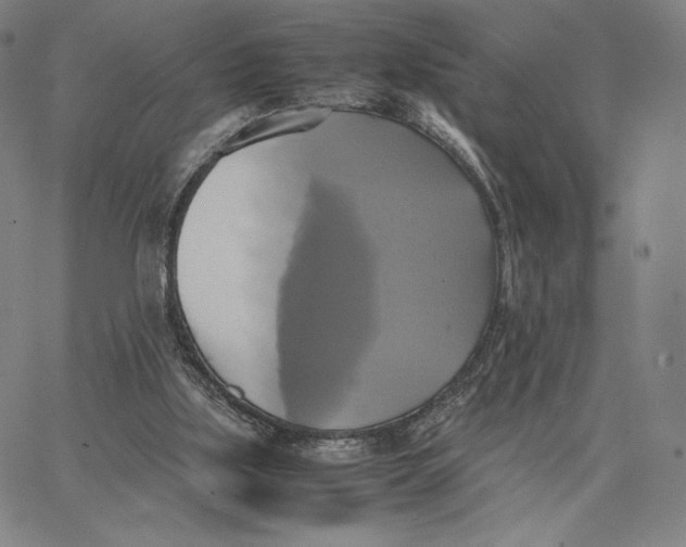 X0000066520059200604071602