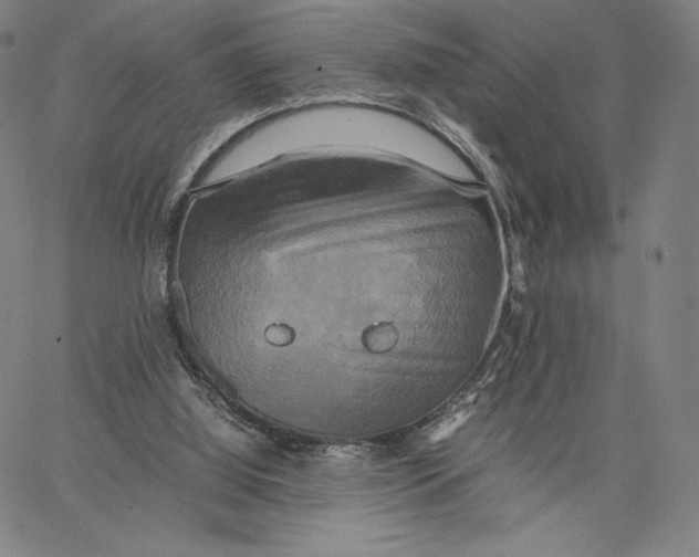 X0000066520060200604071602