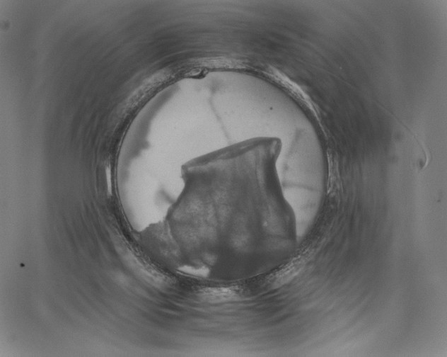 X0000066520061200604071602