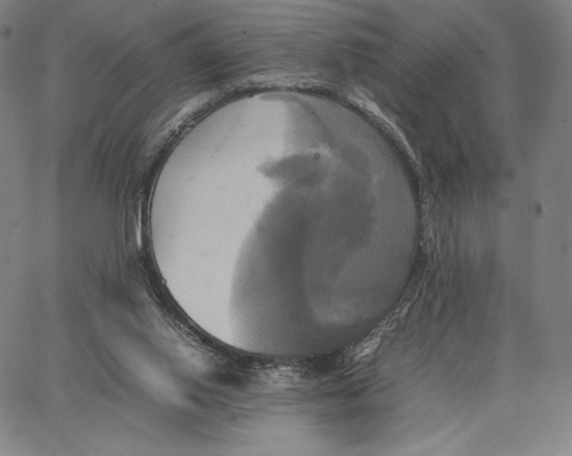 X0000066520062200604071602