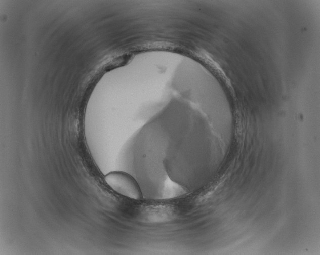 X0000066520063200604071602