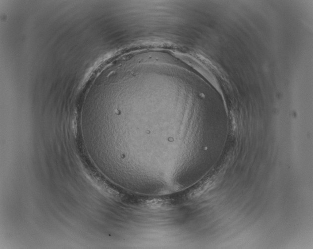 X0000066520064200604071602