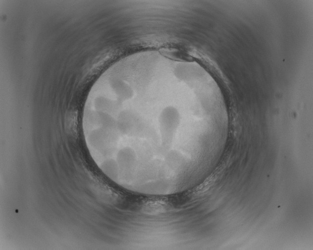 X0000066520066200604071602