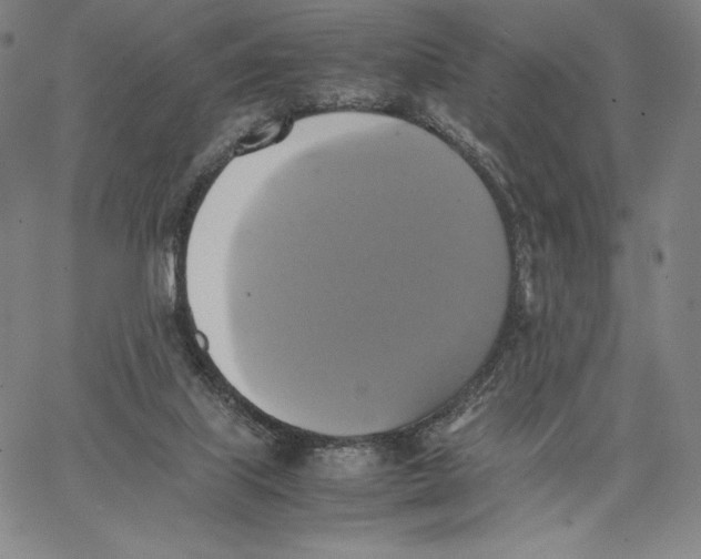 X0000066520067200604071602