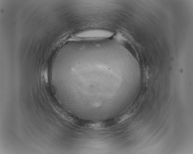 X0000066520068200604071602