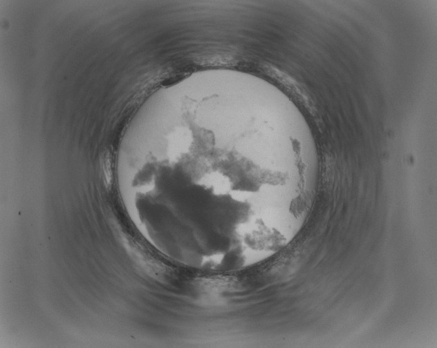 X0000066520069200604071602