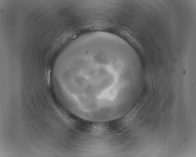 X0000066520070200604071602