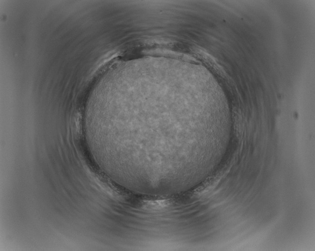 X0000066520071200604071602