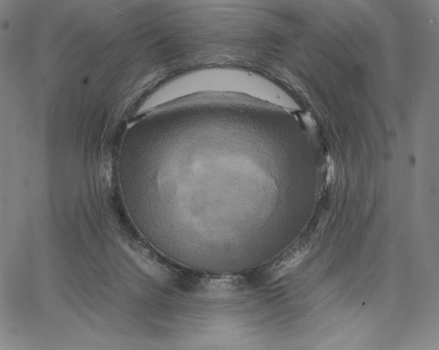 X0000066520072200604071602