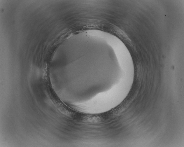 X0000066520073200604071602