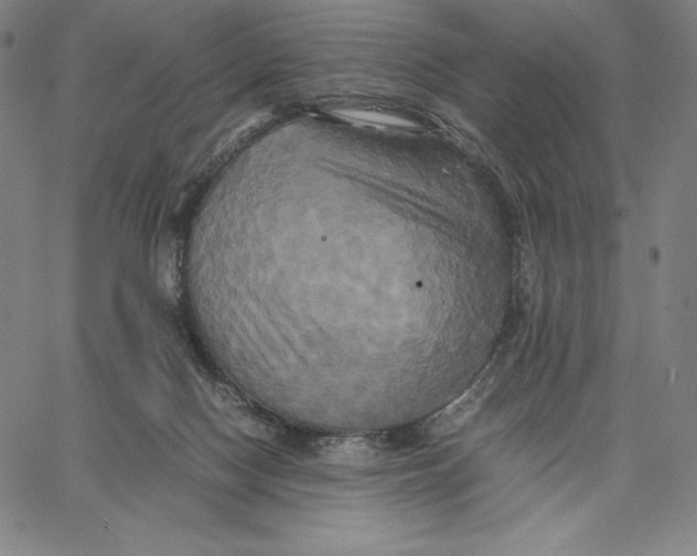 X0000066520074200604071602