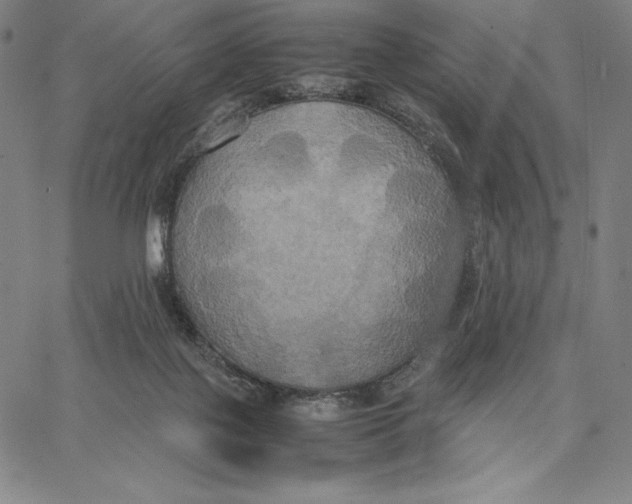 X0000066520075200604071602