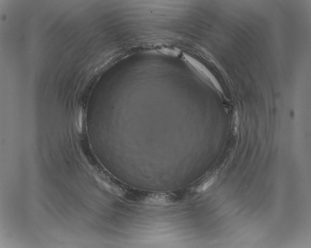 X0000066520076200604071602