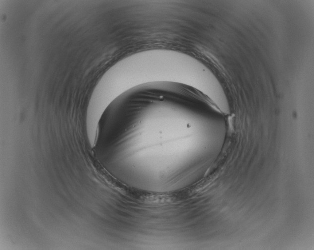 X0000066520077200604071602