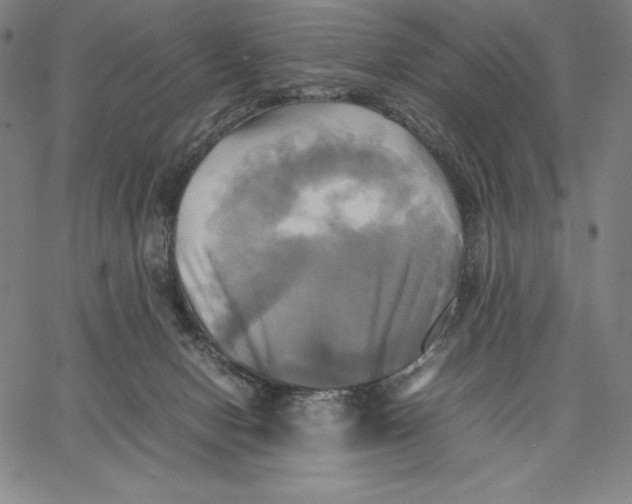 X0000066520078200604071602