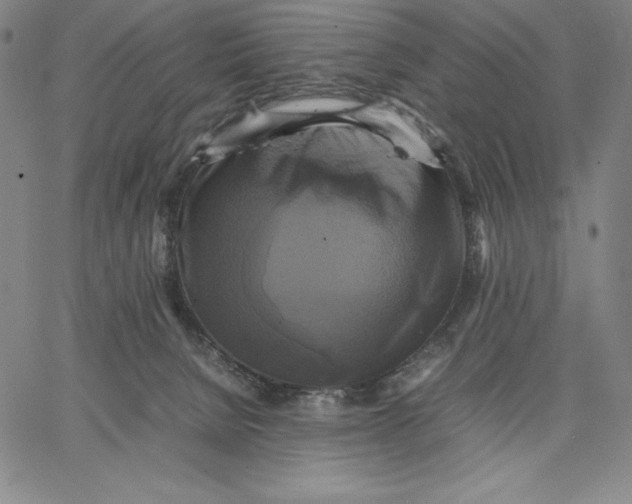 X0000066520080200604071602