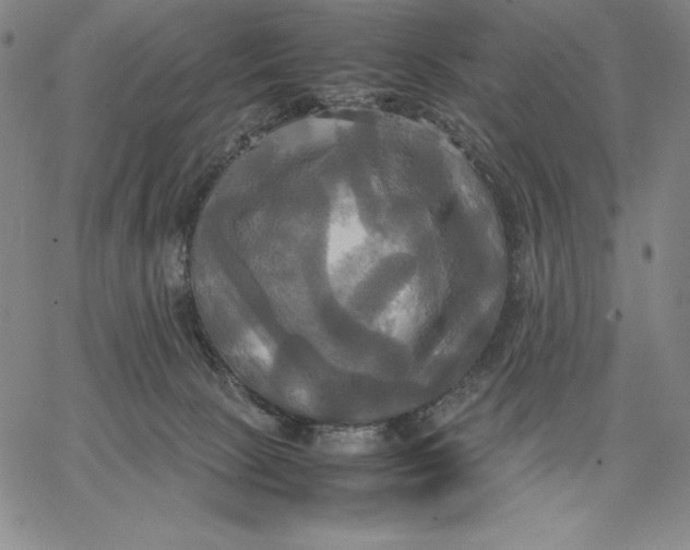 X0000066520081200604071602