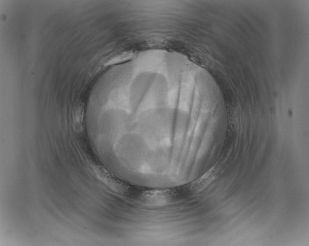 X0000066520082200604071602