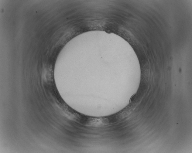 X0000066520083200604071602