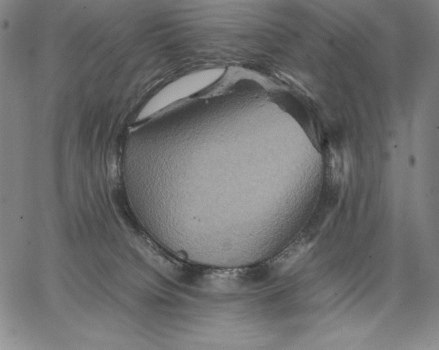 X0000066520084200604071602