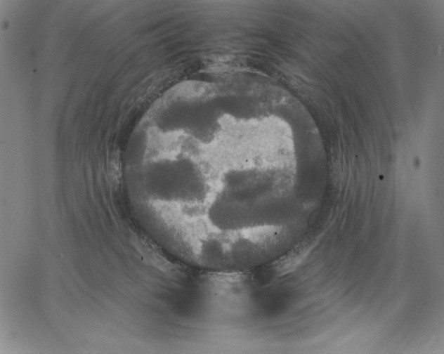 X0000066520085200604071602