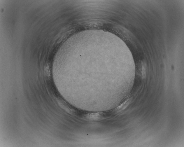 X0000066520086200604071602