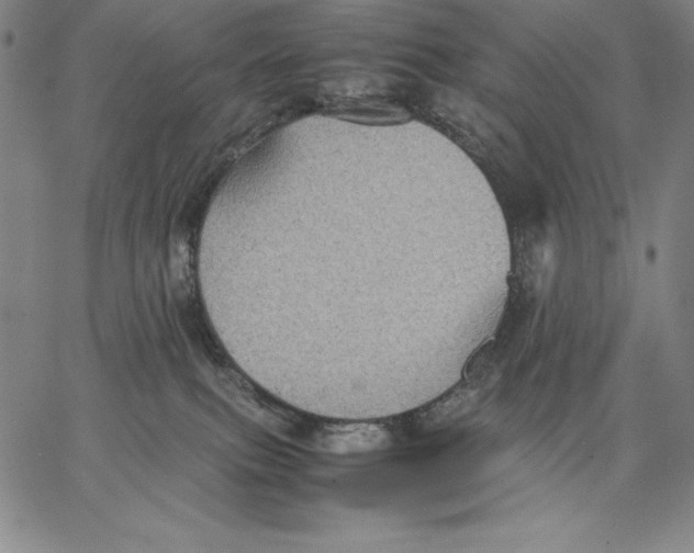 X0000066520087200604071602