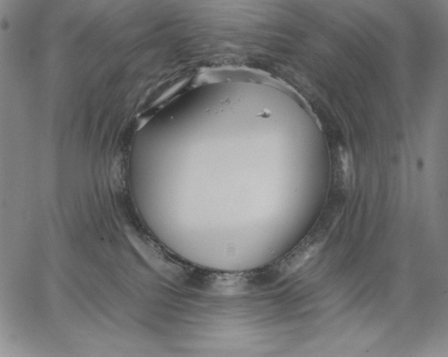 X0000066520088200604071602