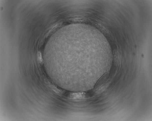 X0000066520089200604071602