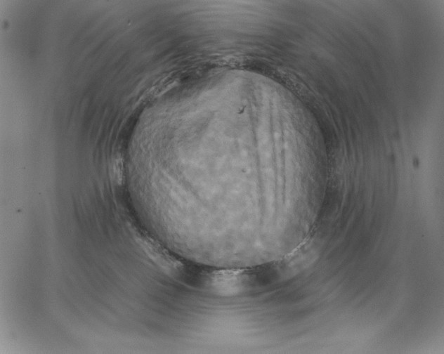 X0000066520090200604071602