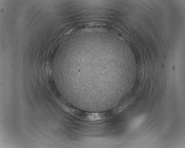 X0000066520091200604071603